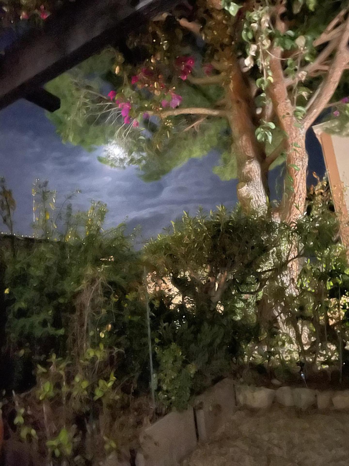 Studio Bandol Avec Jardin Bagian luar foto